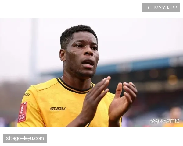 狼队主帅战术智慧显成效，球队状态回暖重返胜利轨道