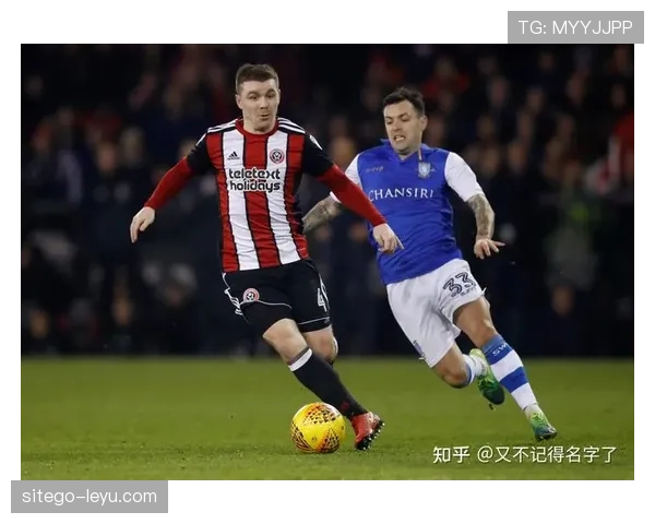 南安普顿新赛季剑指英冠冠军,重振雄风成最大看点 南安普顿新赛季剑指英冠冠军,重振雄风成最大看点