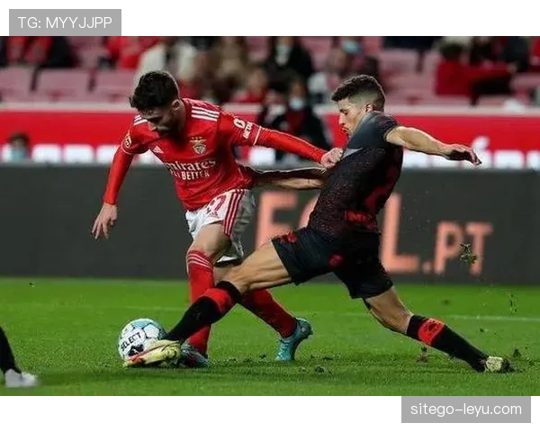 本菲卡攻防渐入佳境，状态回暖剑指赛季争冠