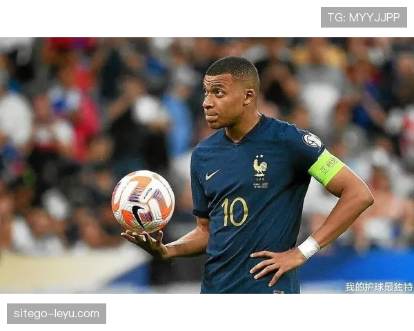 马里欧预选赛发挥稳健,助球队全力冲击欧洲杯席位