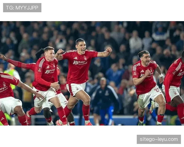 诺丁汉森林控球优势凸显,稳健节奏成争胜关键