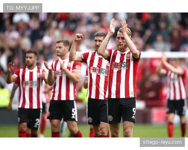 诺维奇英冠降班马 诺维奇英冠降班马
