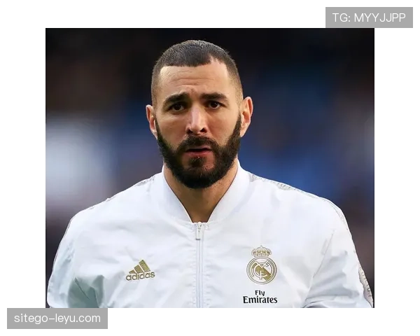 本泽马西甲与欧冠双线统治力及巅峰赛季含金量分析