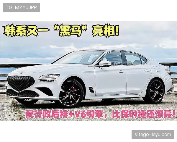 G组黑马背后的关键数据 G组黑马背后的关键数据