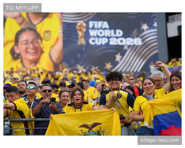 科特迪瓦1-0厄瓜多尔:世界杯小组赛战报整理